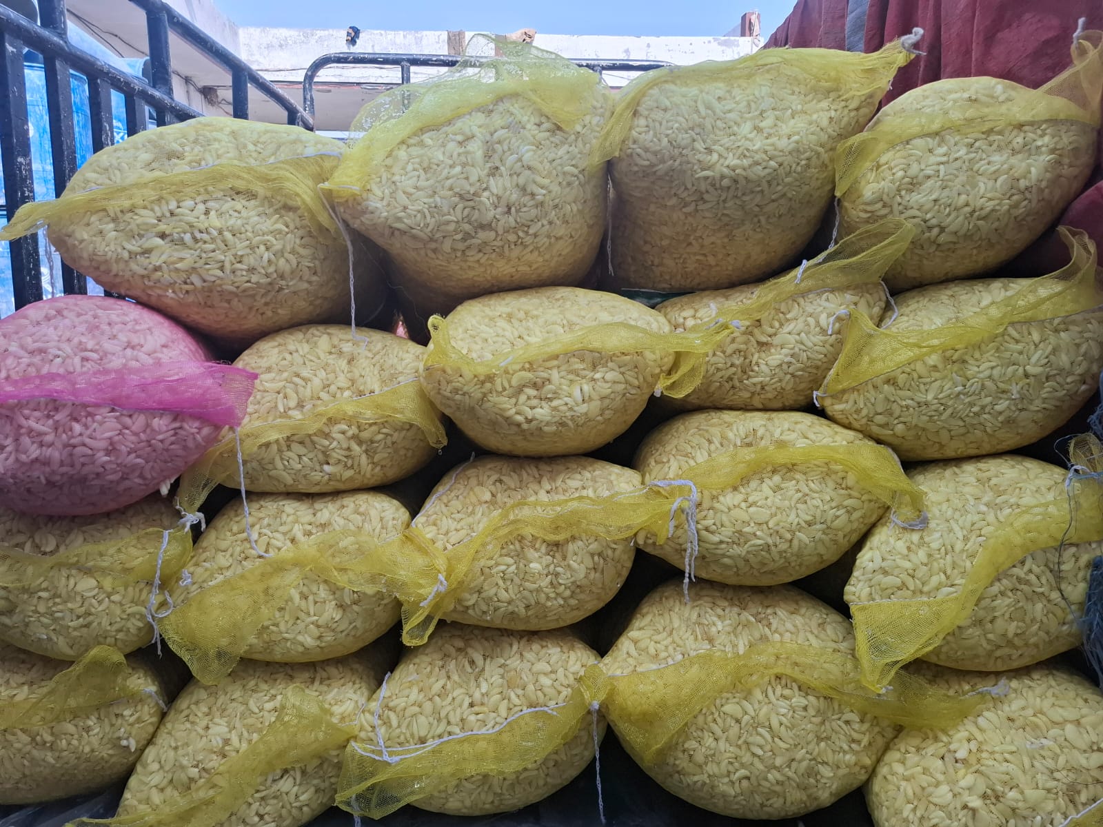 Yellow mesh bags of peeled garlic loaded for delivery — Ali Wasim Farm