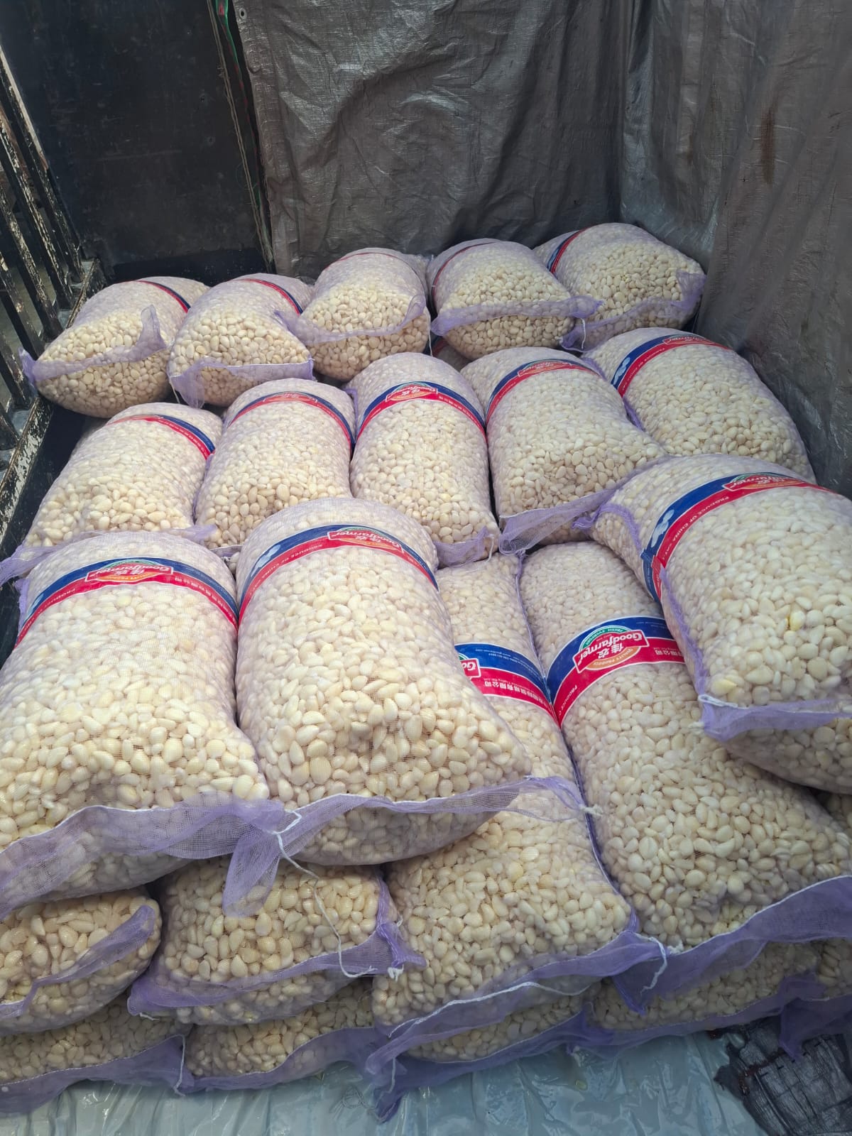 Packed peeled garlic bags on delivery vehicle — Ali Wasim Farm