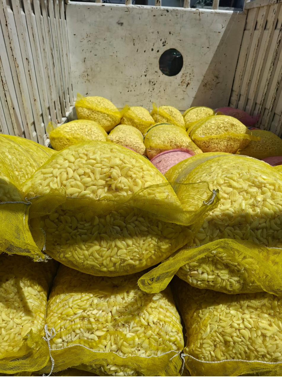 Garlic bags stacked in delivery truck Pakistan
